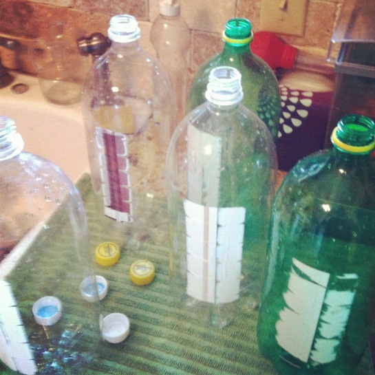 soda bottles ready to become garden containers